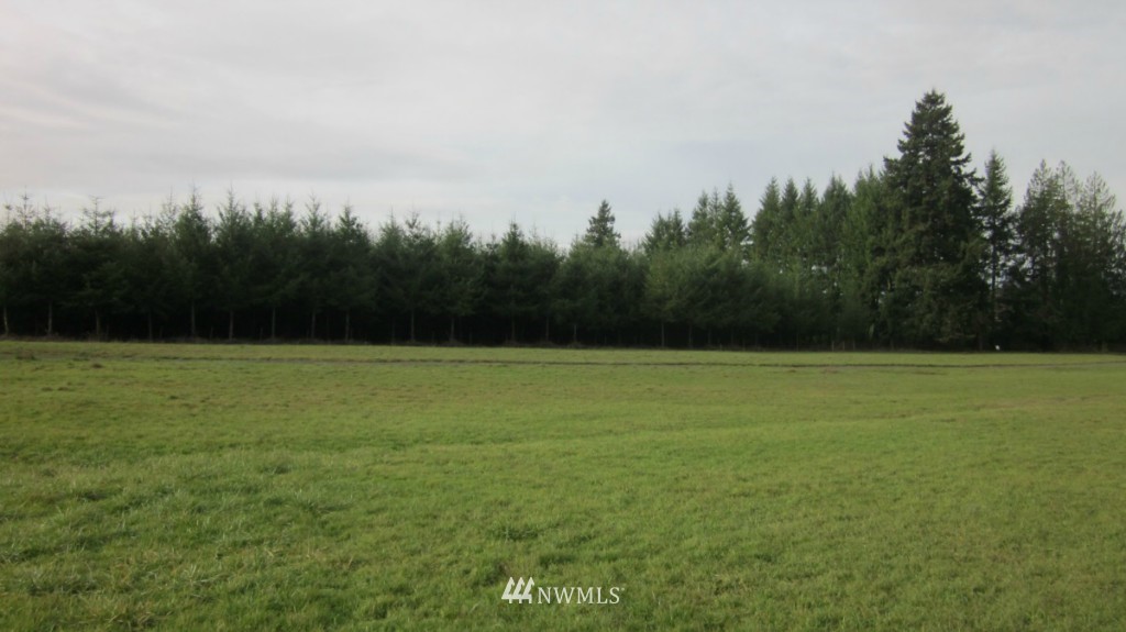 -xxx Rhoades Road Winlock, WA 98596 - Photo 1 of 23