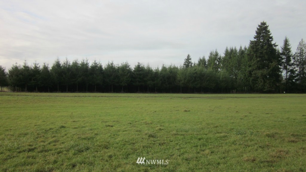 -xxx Rhoades Road Winlock, WA 98596 - Photo 2 of 23