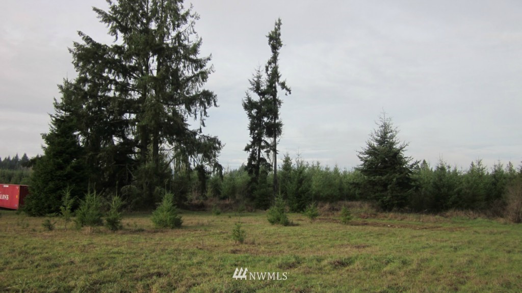 -xxx Rhoades Road Winlock, WA 98596 - Photo 12 of 23