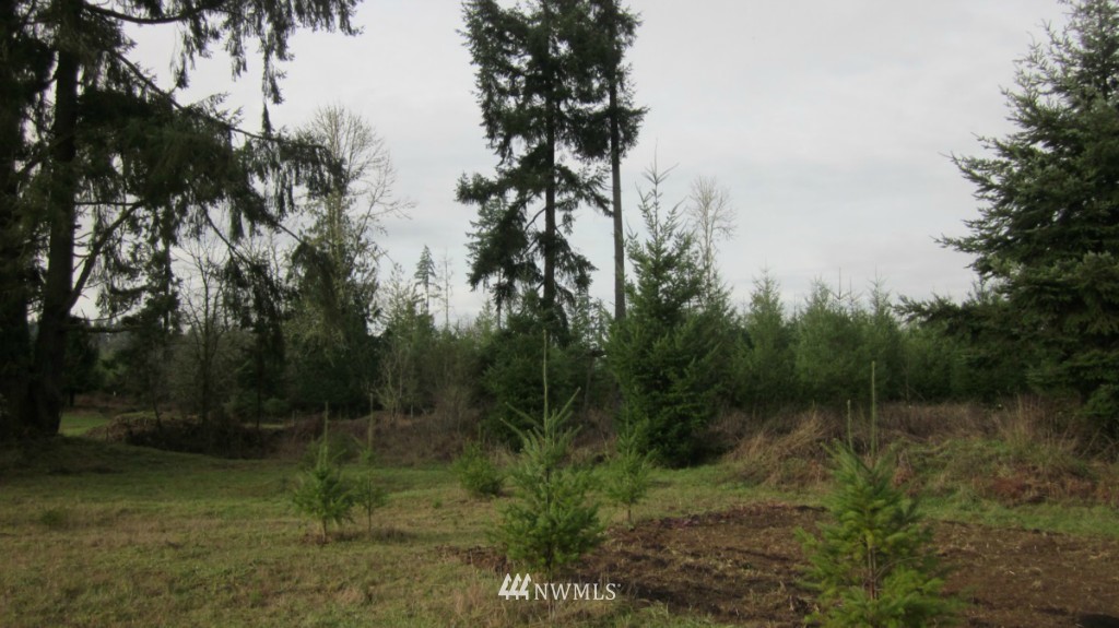 -xxx Rhoades Road Winlock, WA 98596 - Photo 13 of 23