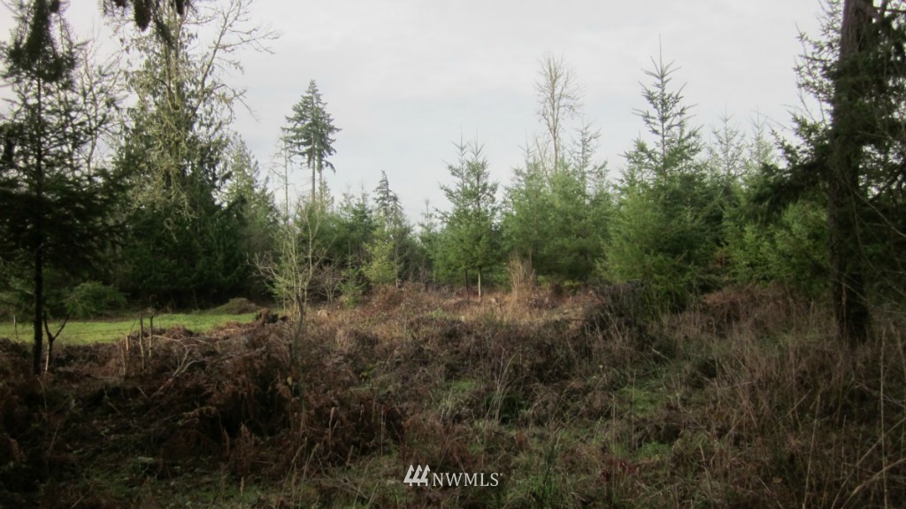 -xxx Rhoades Road Winlock, WA 98596 - Photo 14 of 23