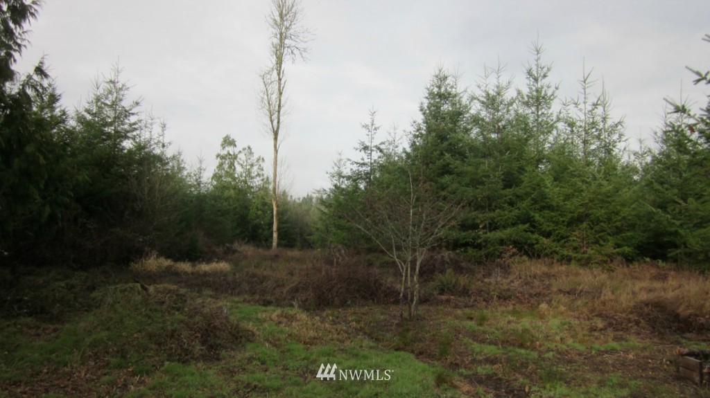 -xxx Rhoades Road Winlock, WA 98596 - Photo 15 of 23