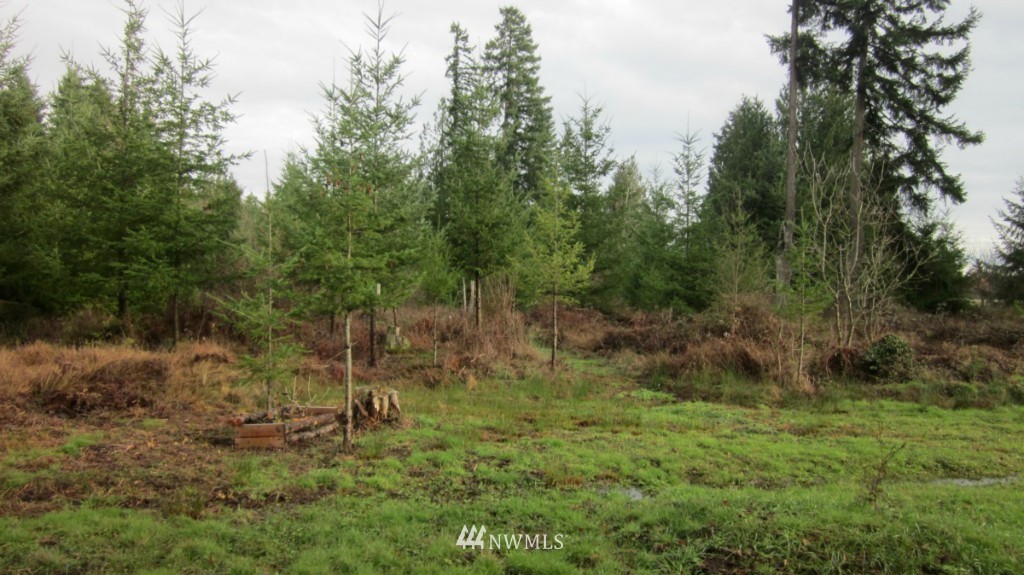 -xxx Rhoades Road Winlock, WA 98596 - Photo 16 of 23