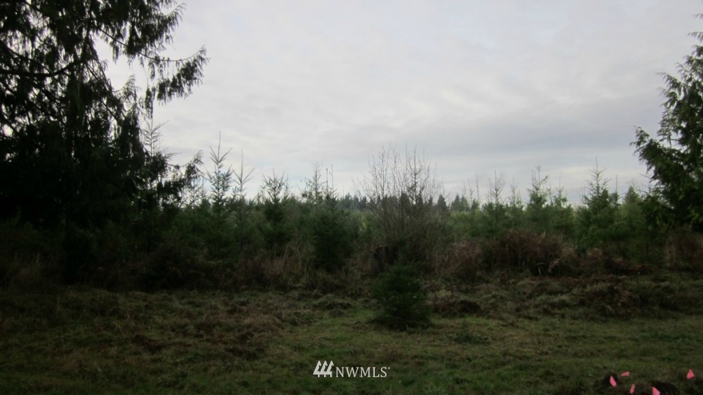 -xxx Rhoades Road Winlock, WA 98596 - Photo 17 of 23