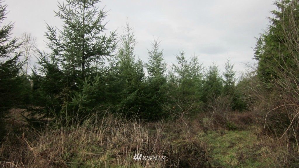 -xxx Rhoades Road Winlock, WA 98596 - Photo 19 of 23