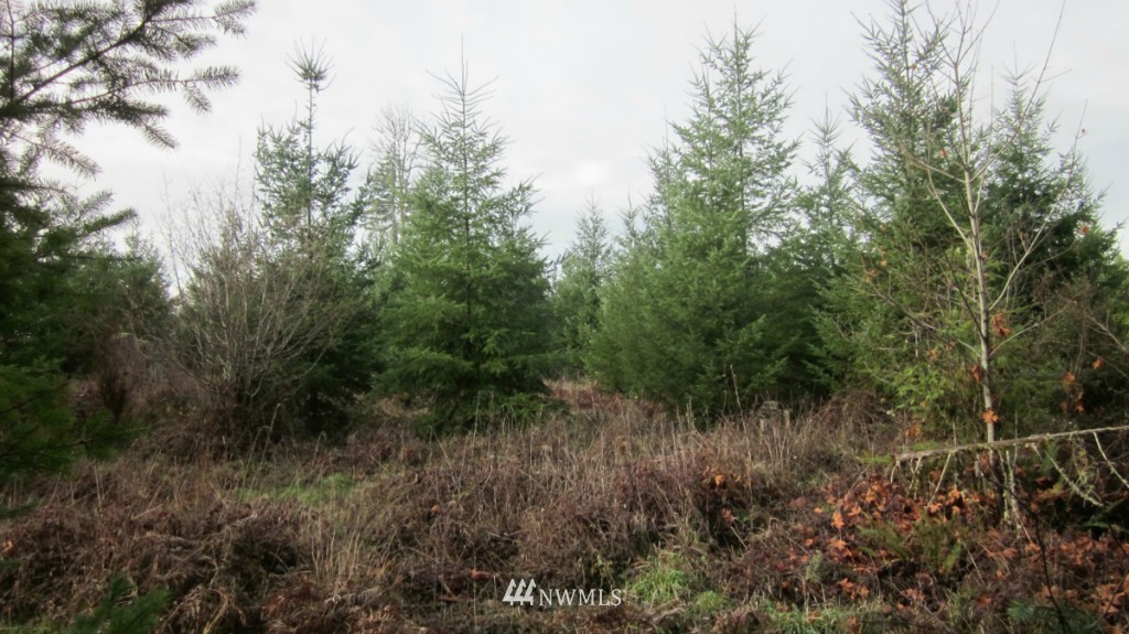 -xxx Rhoades Road Winlock, WA 98596 - Photo 20 of 23