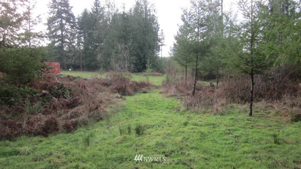 -xxx Rhoades Road Winlock, WA 98596 - Photo 3 of 23