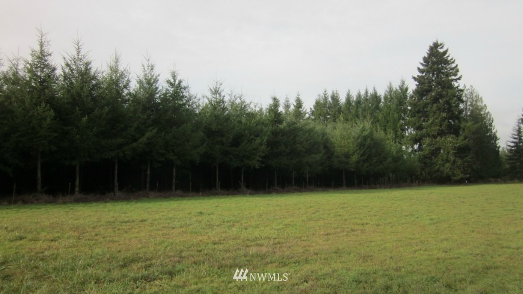 -xxx Rhoades Road Winlock, WA 98596 - Photo 23 of 23