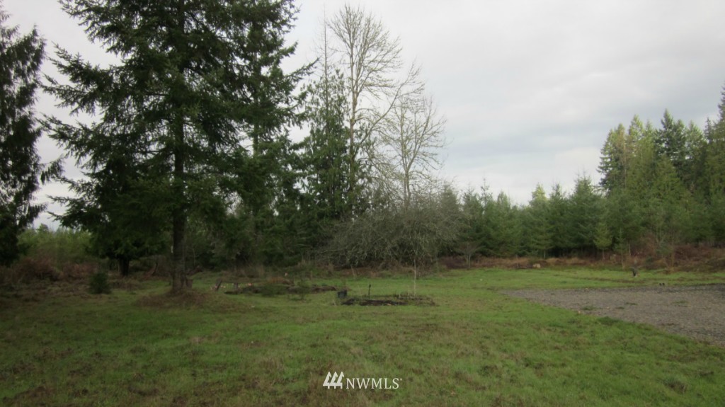 -xxx Rhoades Road Winlock, WA 98596 - Photo 4 of 23