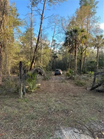 a view of outdoor space with trees