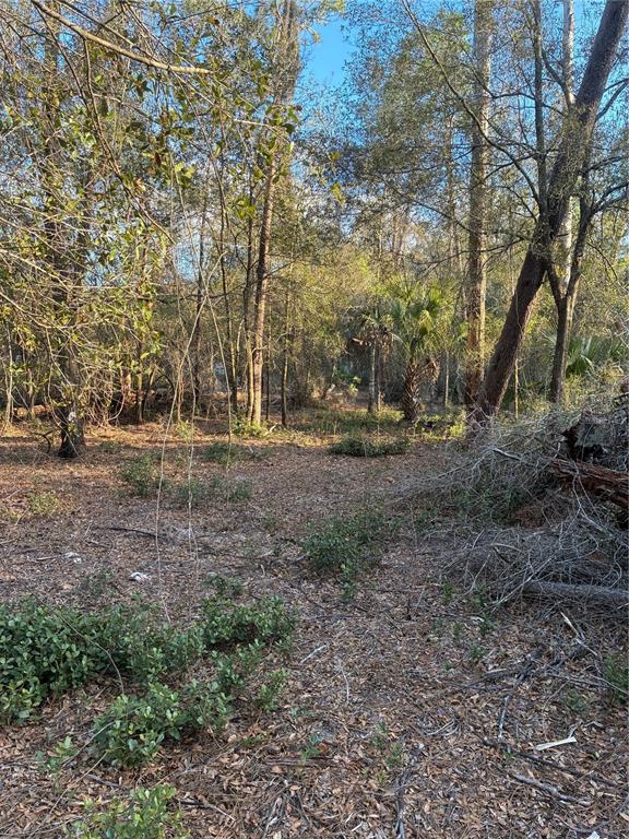 58 Old Deer Road Paisley, FL 32767 - Photo 2 of 5 a view of outdoor space with trees