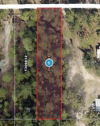 58 Old Deer Road Paisley, FL 32767 - Photo 3 of 5