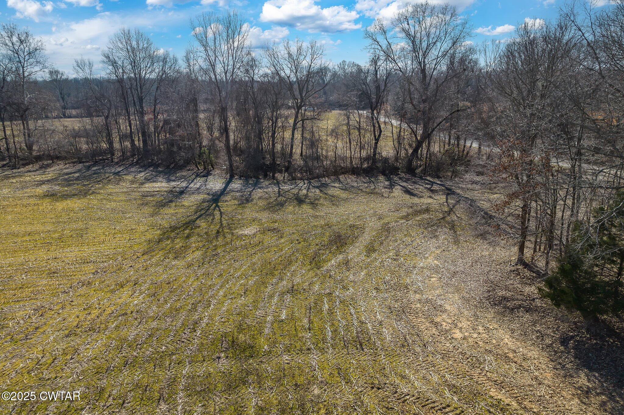 Lot#1 Humboldt Lake Road Gadsden, TN 38337 - Photo 21 of 32 a view of backyard with large trees