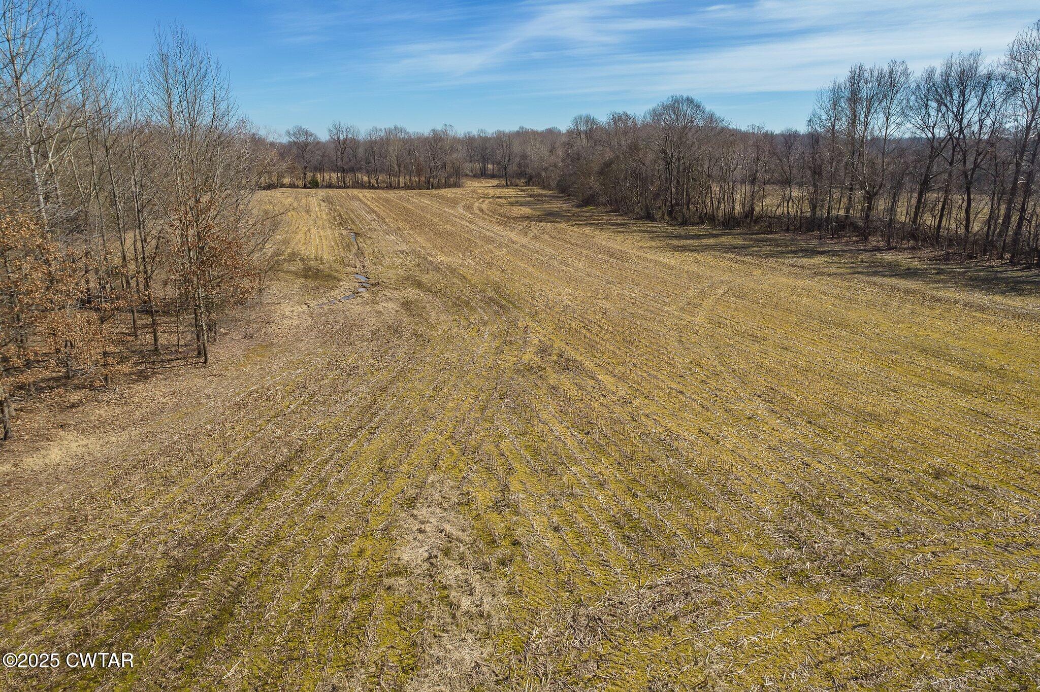 Lot#1 Humboldt Lake Road Gadsden, TN 38337 - Photo 22 of 32 a view of a terrace view