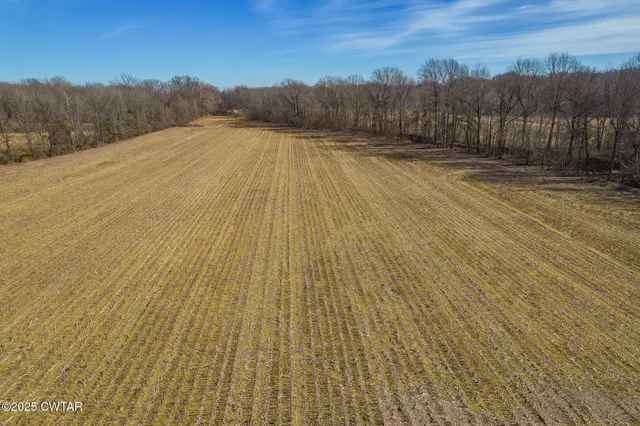 a view of a yard with an ocean view