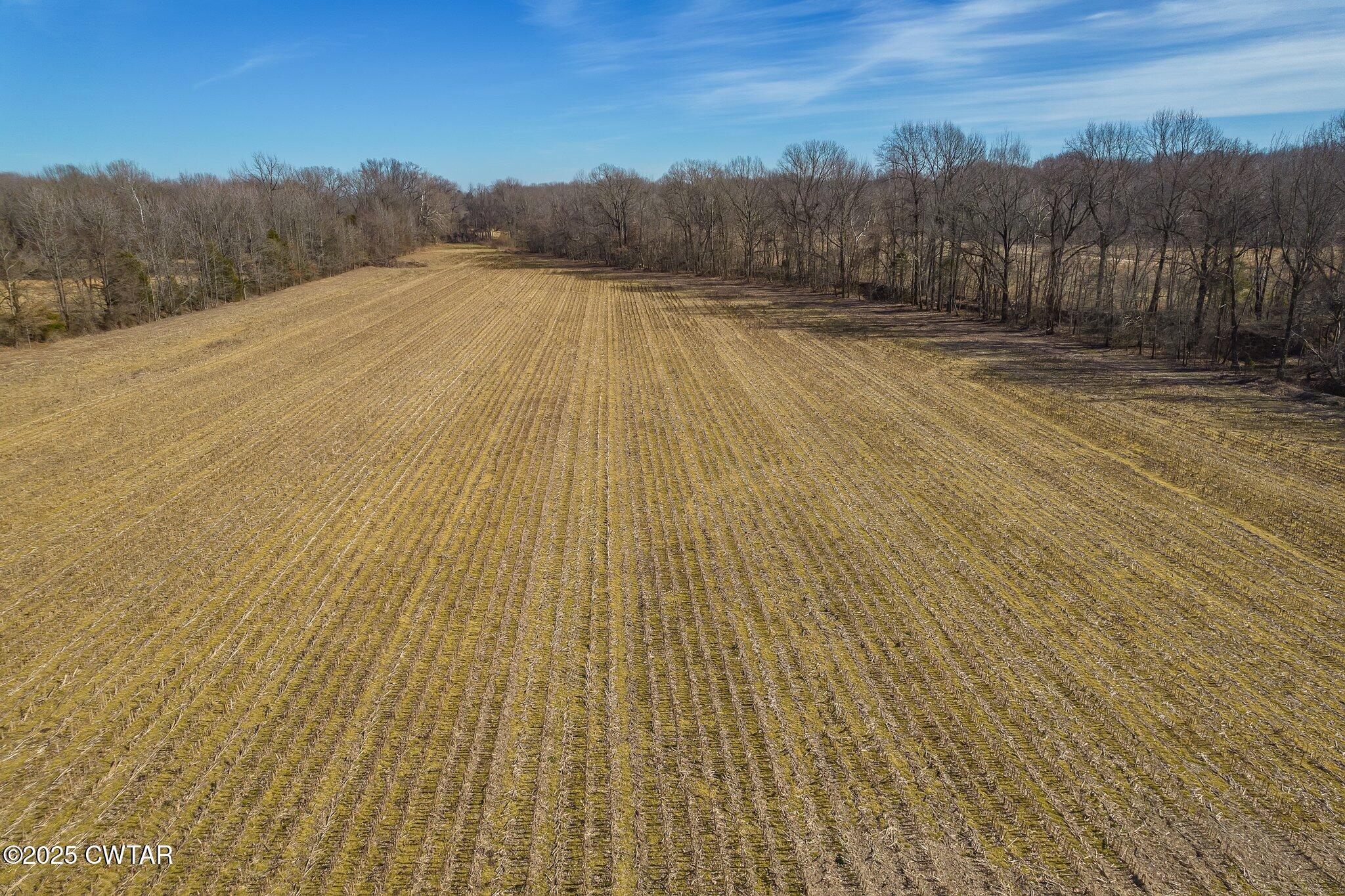 Lot#1 Humboldt Lake Road Gadsden, TN 38337 - Photo 25 of 32 a view of basketball court