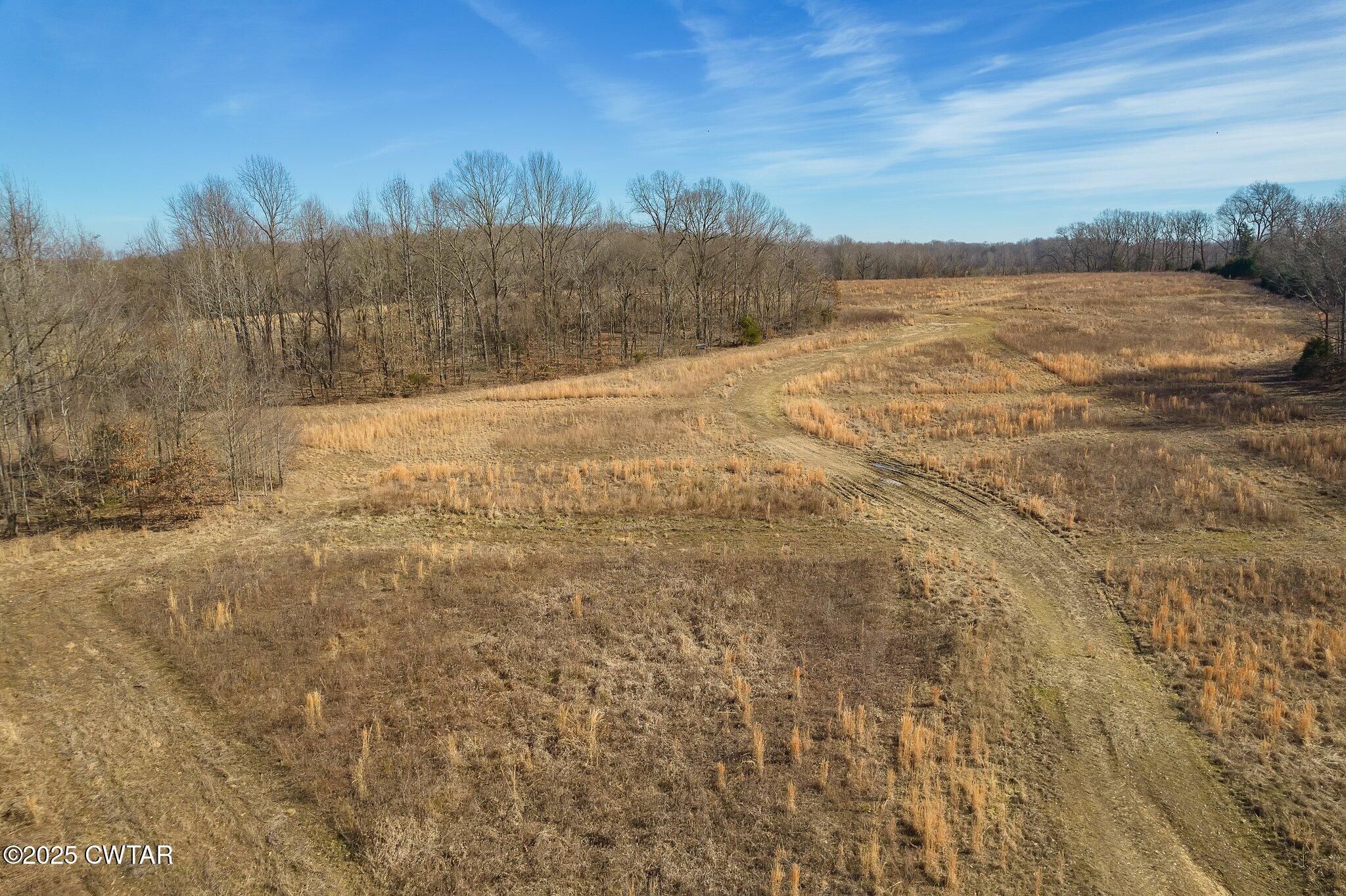Lot#1 Humboldt Lake Road Gadsden, TN 38337 - Photo 32 of 32 a view of a yard with an ocean view