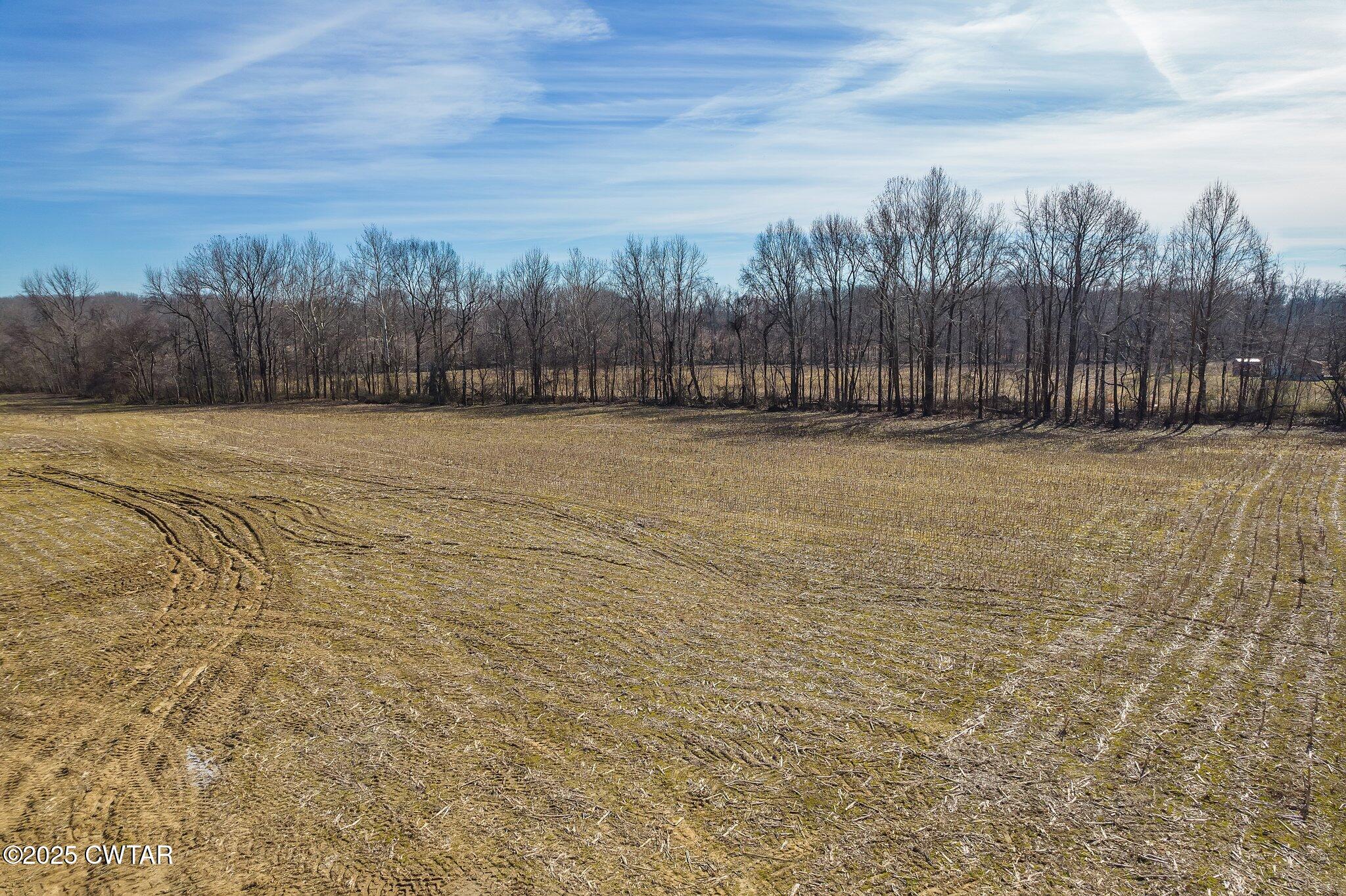 Lot#1 Humboldt Lake Road Gadsden, TN 38337 - Photo 10 of 32 a view of a yard