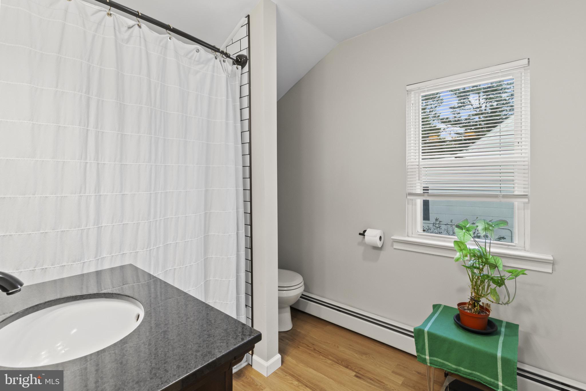 113 Risdon Street Mount Holly, NJ 08060 - Photo 11 of 25 Modern bathroom with natural light.