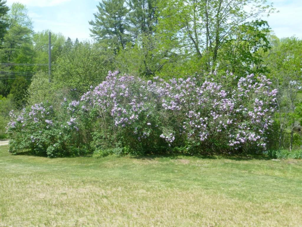 207 George Wright Road Woolwich, ME 04579 - Photo 10 of 31 Photo