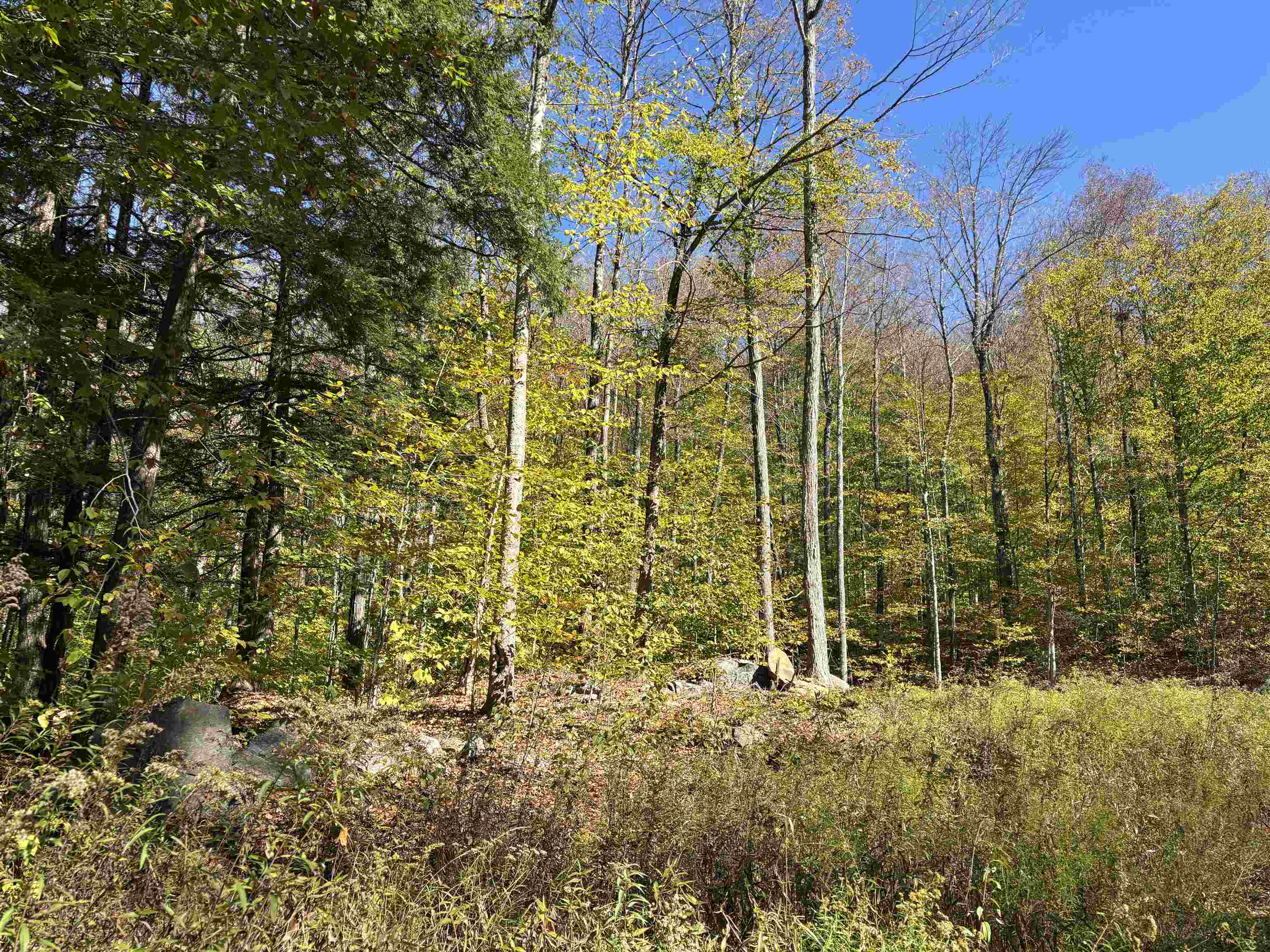 0 Quarry Road Chester, VT 05143 - Photo 9 of 25