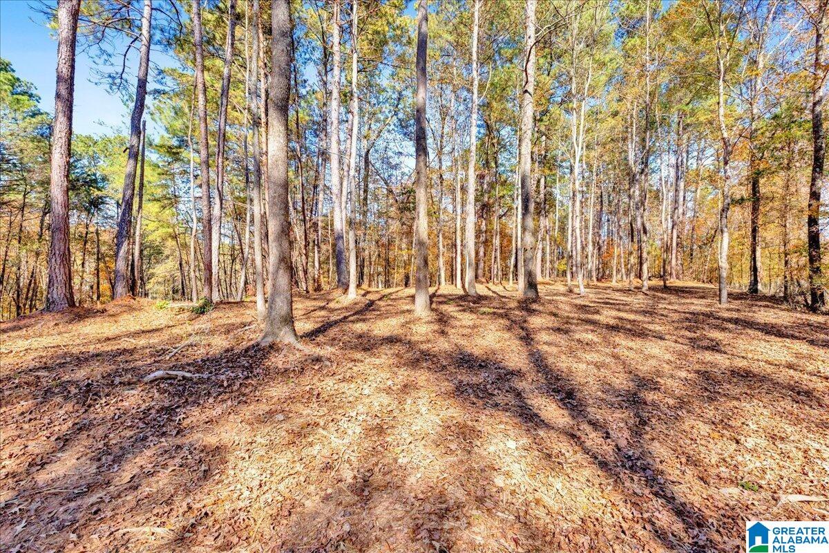 0 Hammock Road Trussville, AL 35173 - Photo 12 of 31
