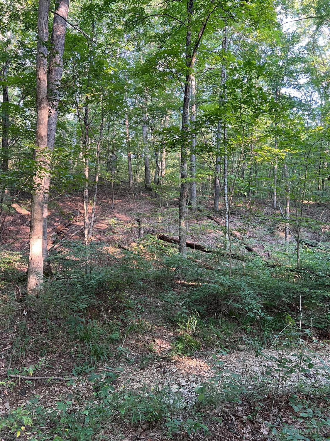 0 Tabernacle Road Chillicothe, OH 45601 - Photo 37 of 64