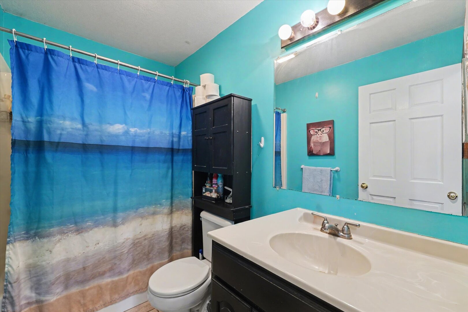 248 East Fremont Street Bement, IL 61813 - Photo 16 of 40 a bathroom with a sink toilet and shower