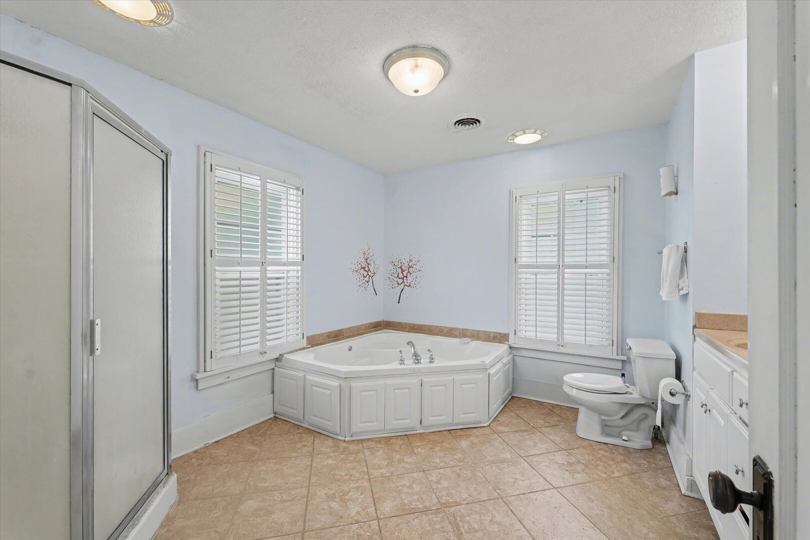 248 East Fremont Street Bement, IL 61813 - Photo 22 of 40 a spacious bathroom with a bathtub and toilet