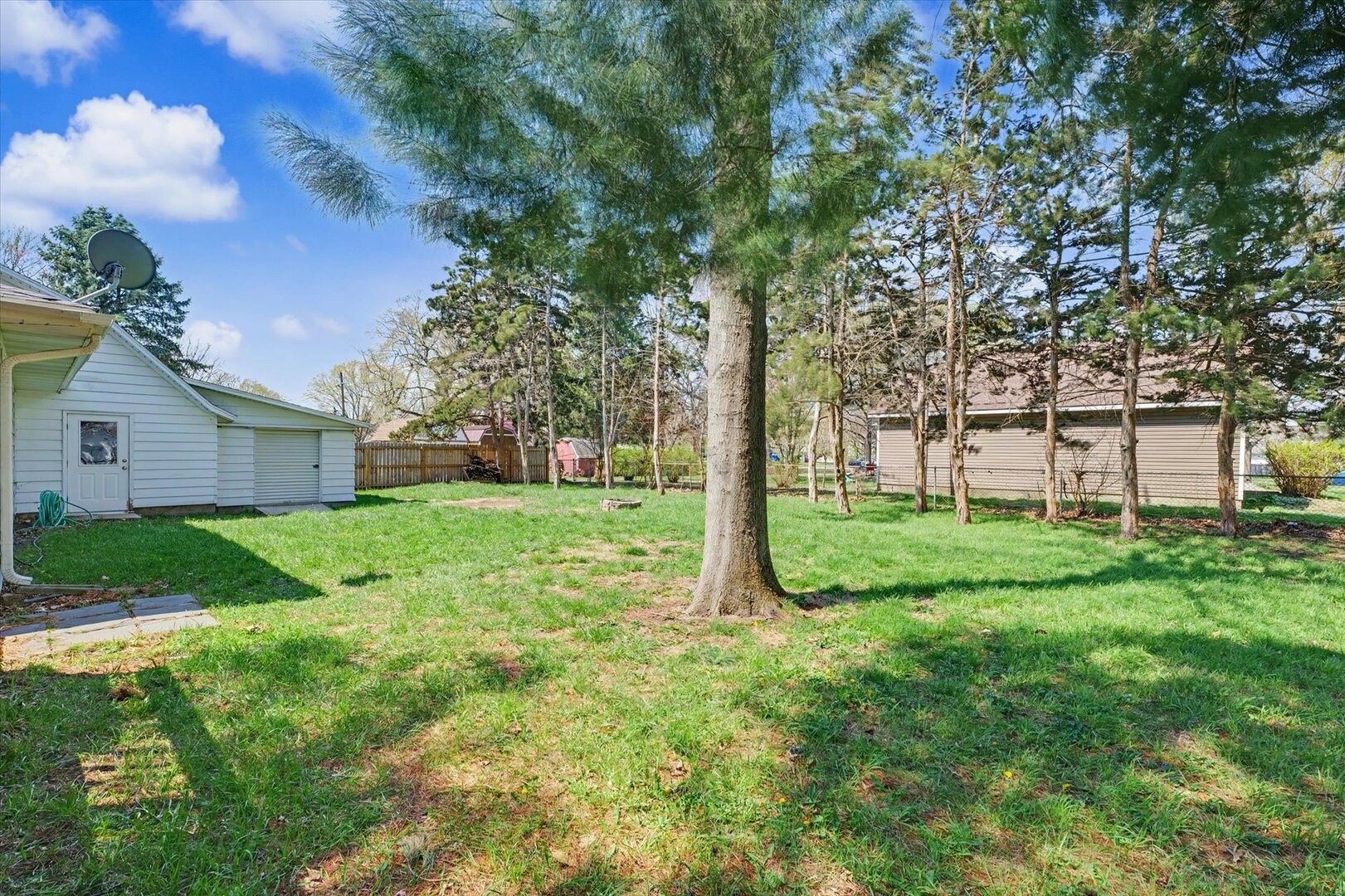 248 East Fremont Street Bement, IL 61813 - Photo 36 of 40 a view of a house with backyard and a tree