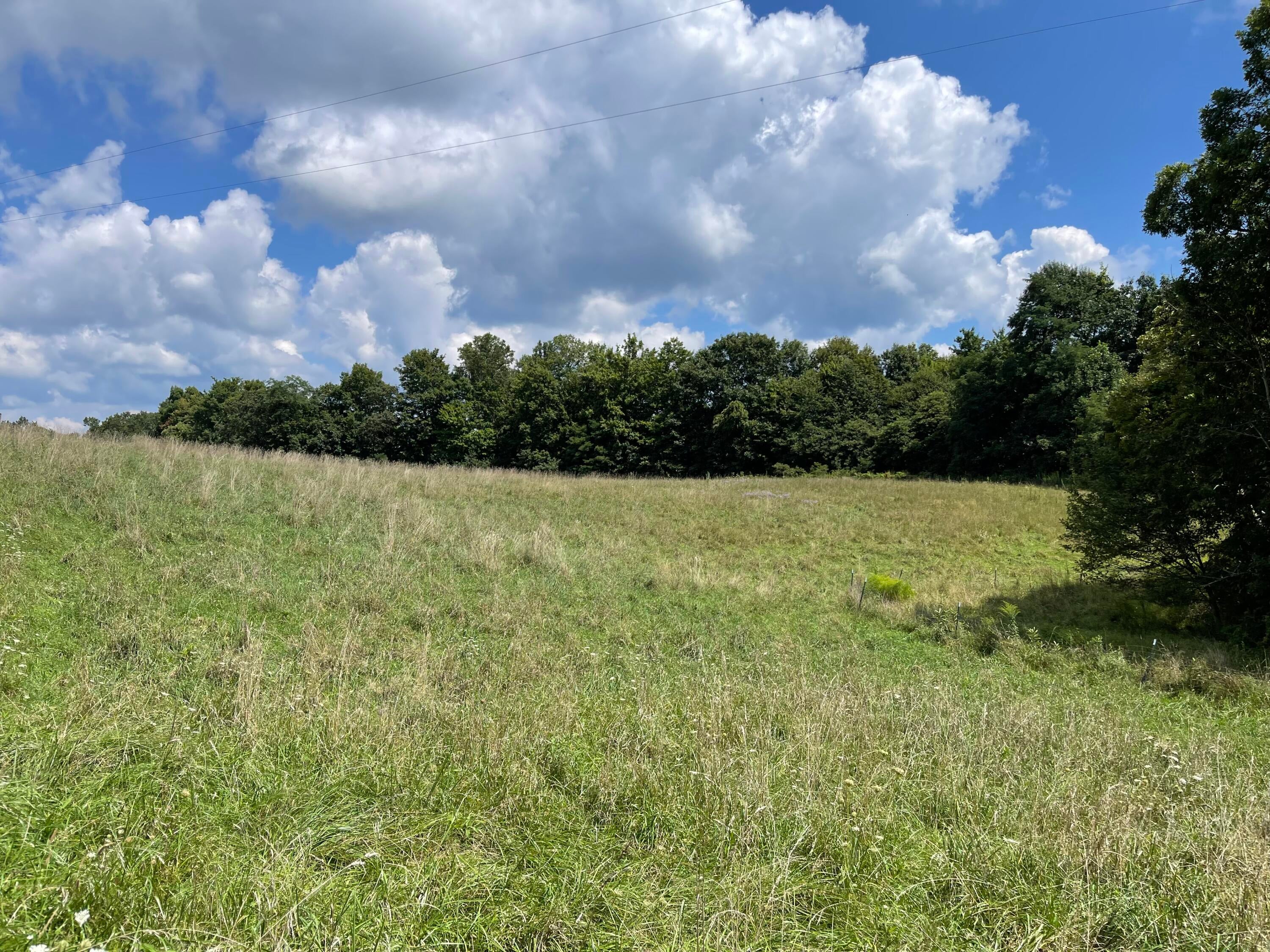 Ward Bench Road Sandstone, WV 25985 - Photo 20 of 92 Gallery Image 20