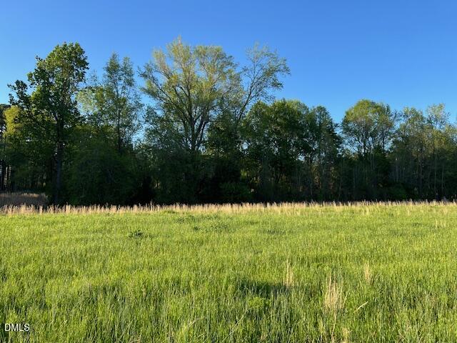 0 Lancaster Store Road Spring Hope, NC 27882 - Photo 3 of 3 a view of swimming pool from a yard