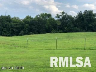 9087 East Hutch Road Mount Vernon, IL 62864 - Photo 5 of 28 Gallery Image 5