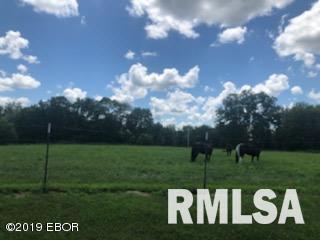 9087 East Hutch Road Mount Vernon, IL 62864 - Photo 7 of 28 Gallery Image 7