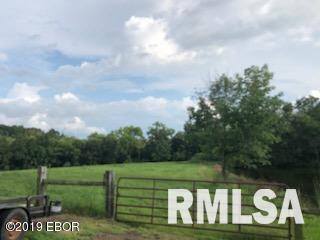 9087 East Hutch Road Mount Vernon, IL 62864 - Photo 10 of 28 Gallery Image 10