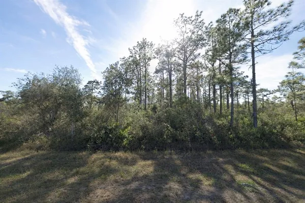a view of a yard with trees in the background