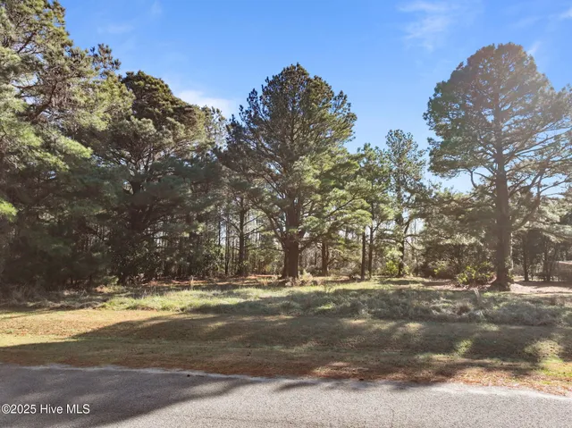 $35,000 | 377 Country Estate, Columbia, NC 27925