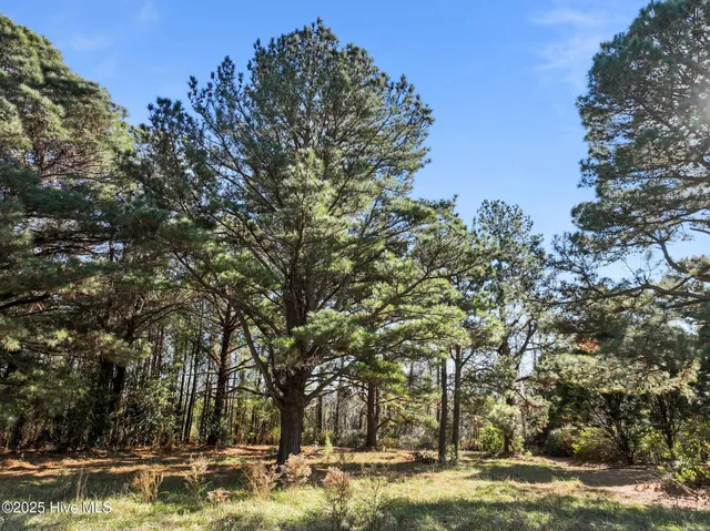 $35,000 | 377 Country Estate, Columbia, NC 27925