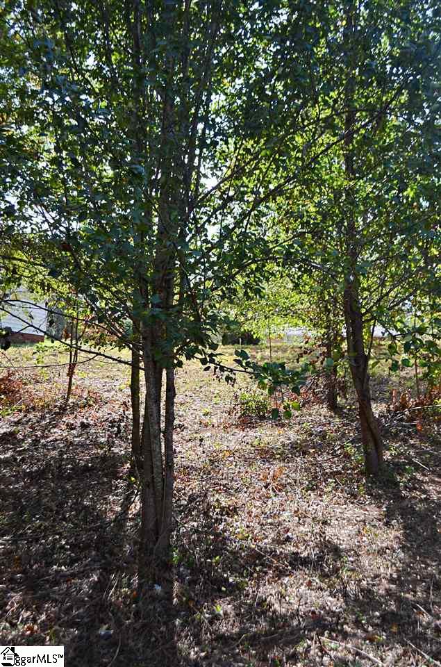Enoree Road Travelers Rest, SC 29690 - Photo 7 of 10 Gallery Image 7