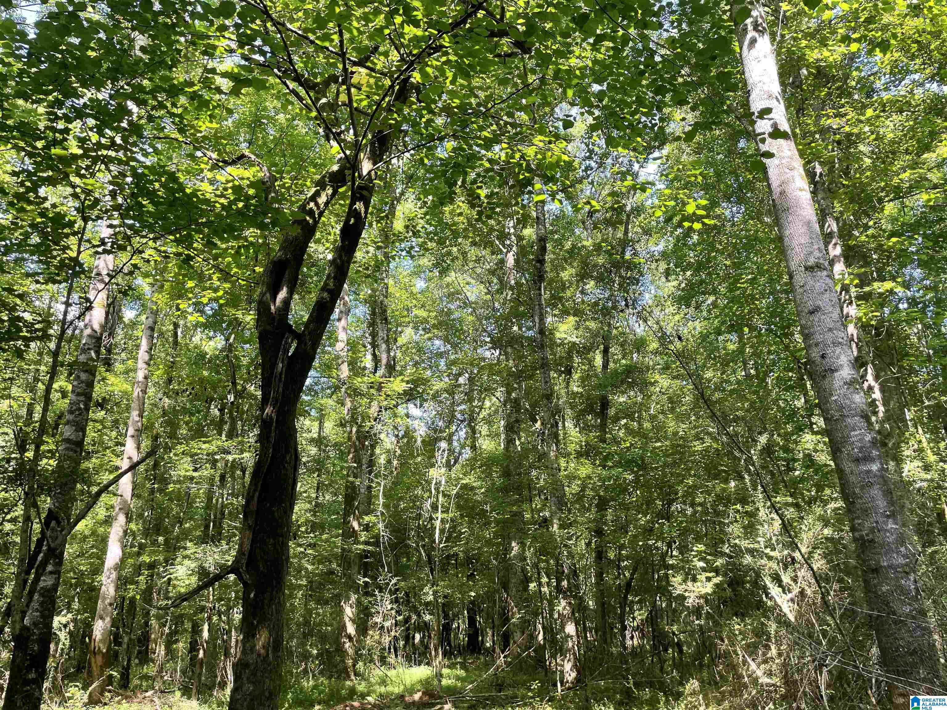 8 Gamble Road, Unit 2 McCalla, AL 35111 - Photo 5 of 8