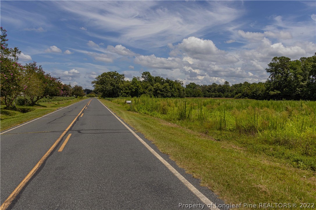 Lot 3 Long Road Lumberton, NC 28358 - Photo 1 of 12 Gallery Image 1