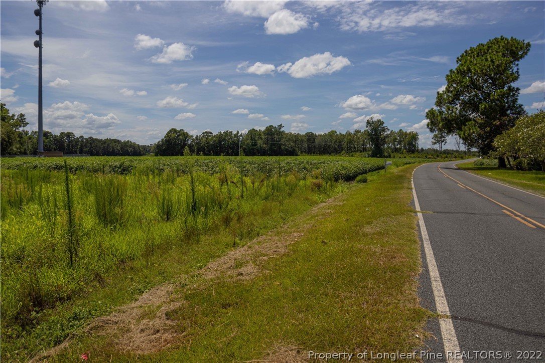 Lot 3 Long Road Lumberton, NC 28358 - Photo 2 of 12 Gallery Image 2