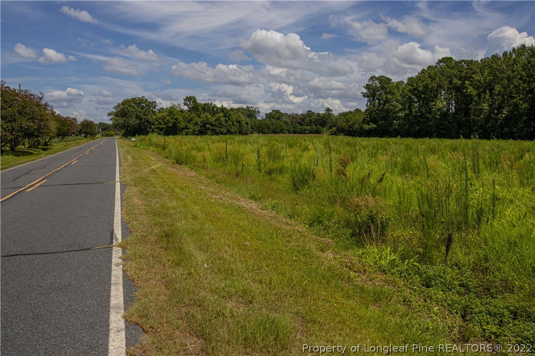 Lot 3 Long Road Lumberton, NC 28358 - Photo 3 of 12 Gallery Image 3