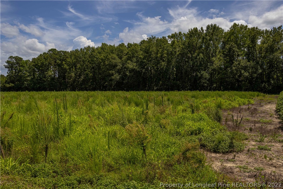 Lot 3 Long Road Lumberton, NC 28358 - Photo 4 of 12 Gallery Image 4