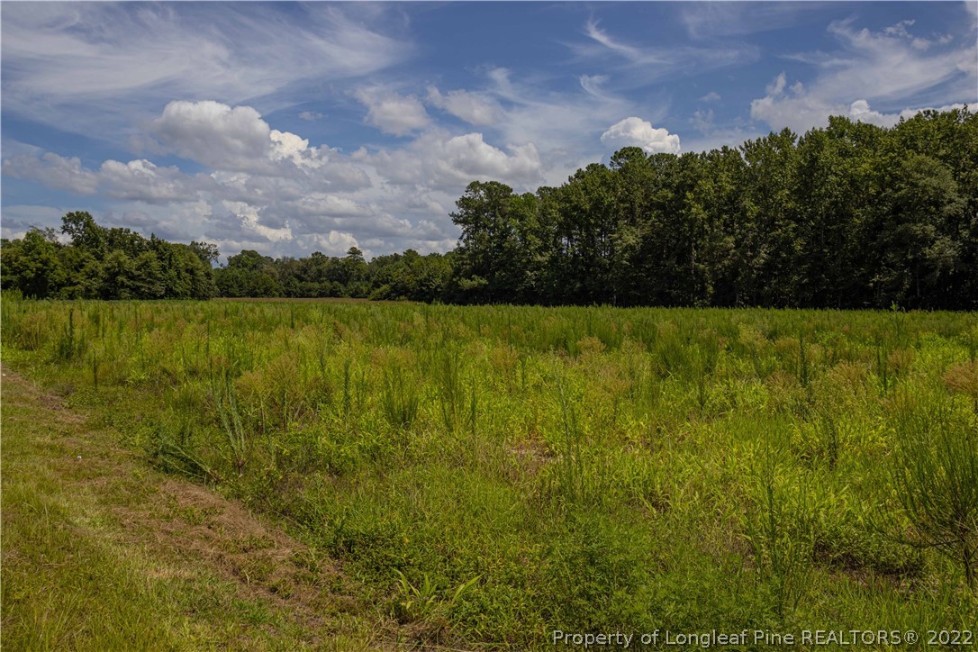 Lot 3 Long Road Lumberton, NC 28358 - Photo 5 of 12 Gallery Image 5