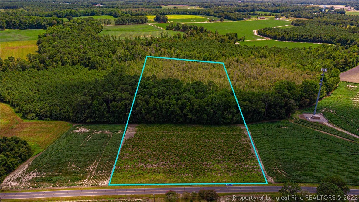 Lot 3 Long Road Lumberton, NC 28358 - Photo 6 of 12 Gallery Image 6