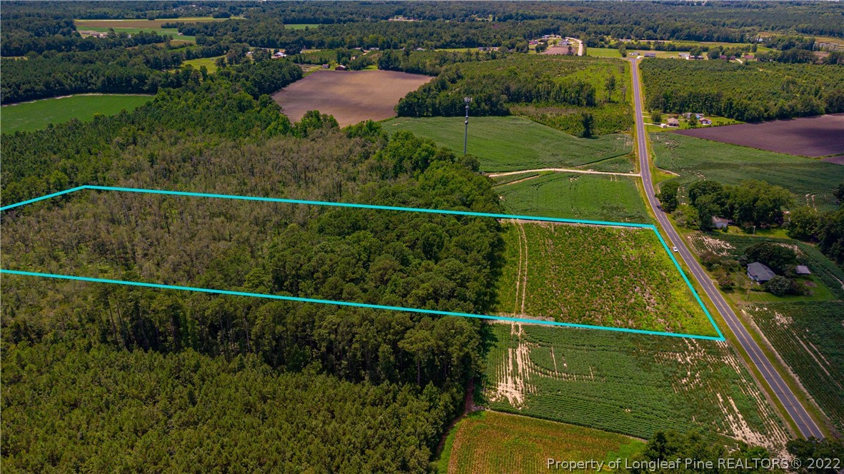 Lot 3 Long Road Lumberton, NC 28358 - Photo 8 of 12 Gallery Image 8