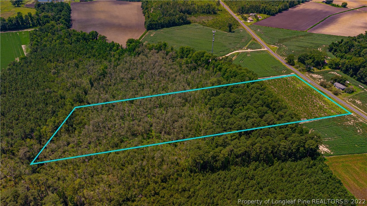 Lot 3 Long Road Lumberton, NC 28358 - Photo 9 of 12 Gallery Image 9