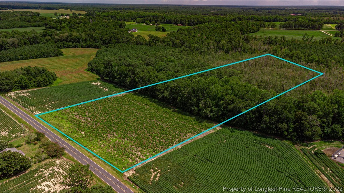Lot 3 Long Road Lumberton, NC 28358 - Photo 10 of 12 Gallery Image 10