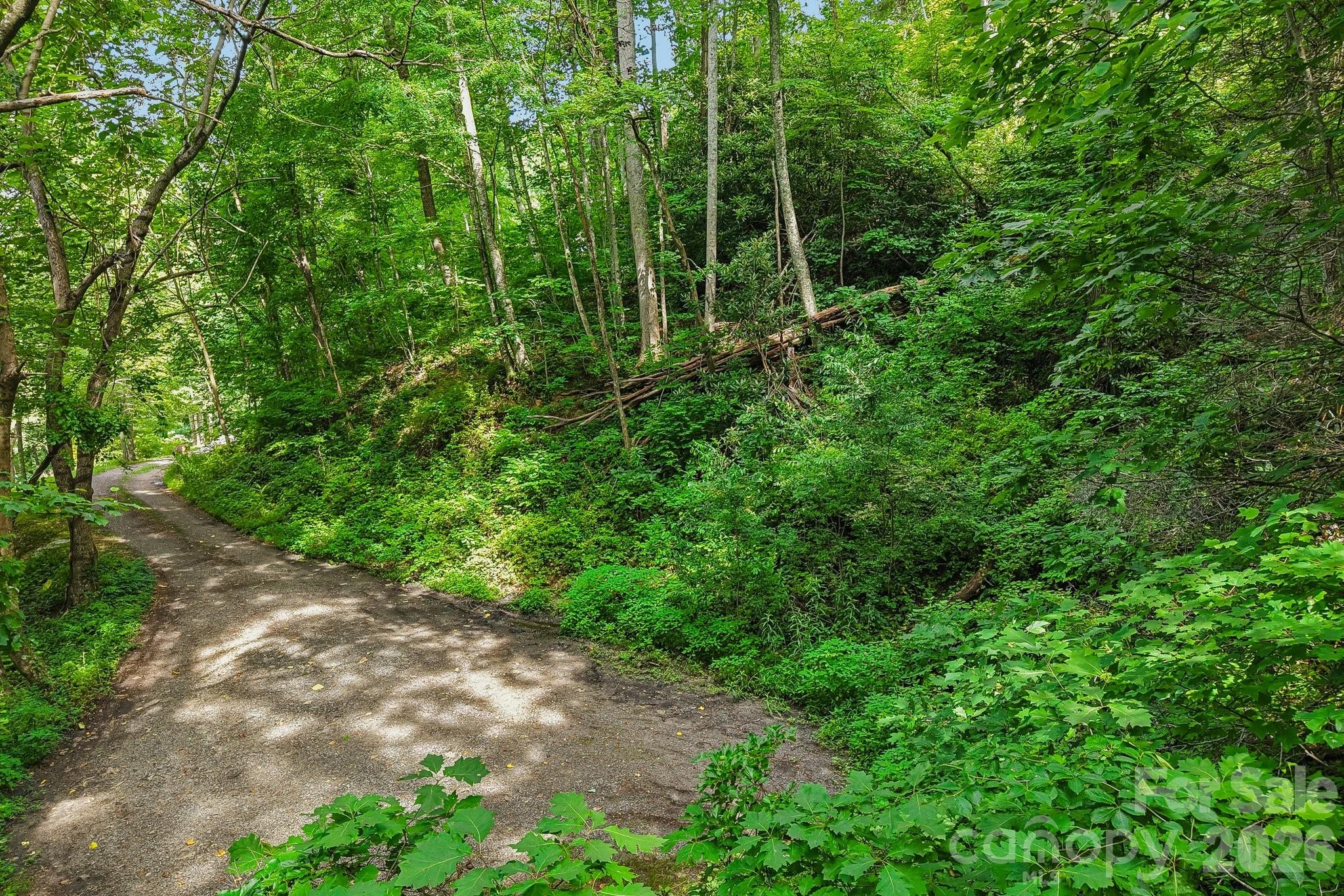 Tbd Indian Falls Road Asheville, NC 28803 - Photo 4 of 8